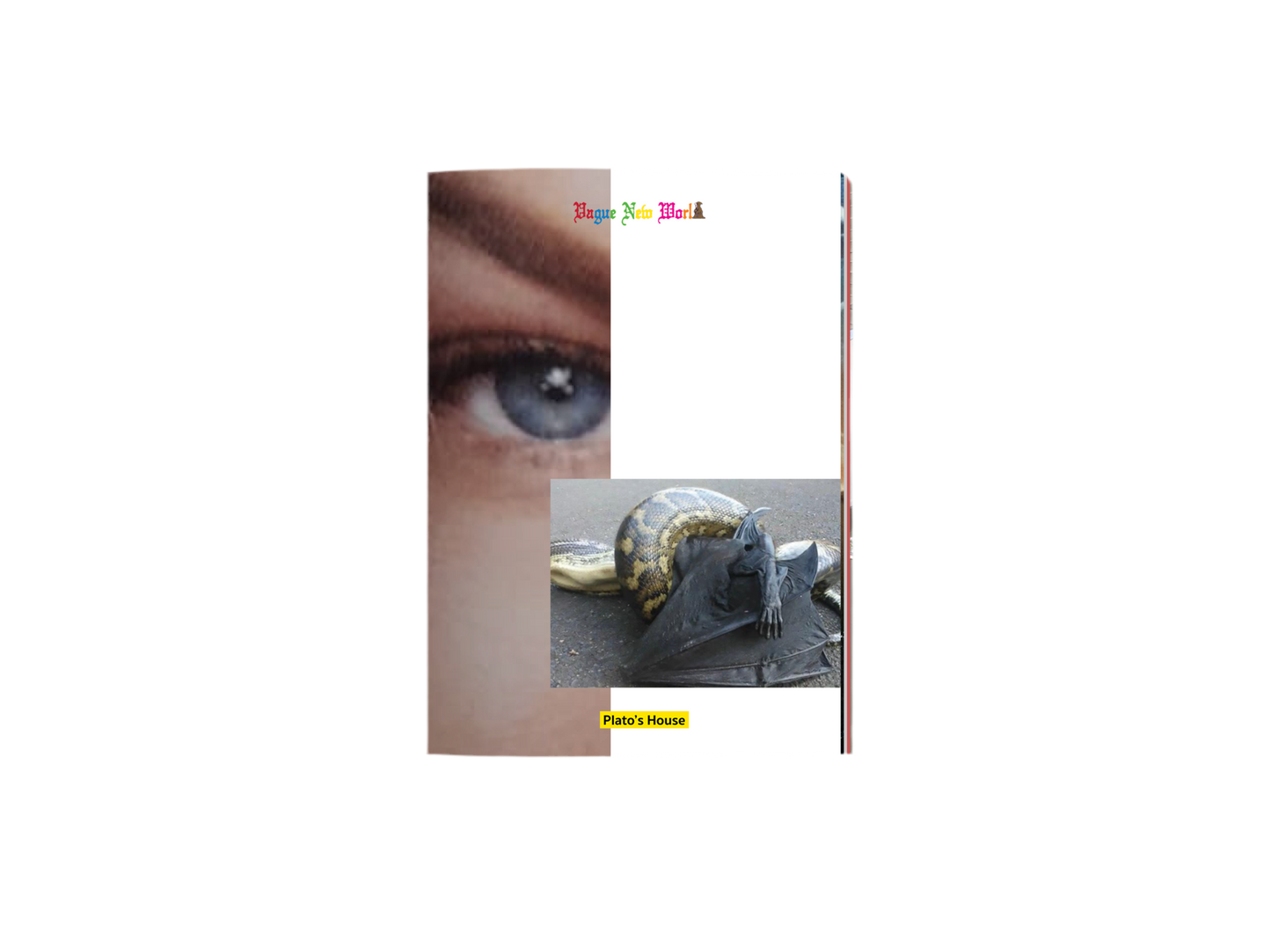 ISSUE F - VAGUE NEW WORLD - PDF