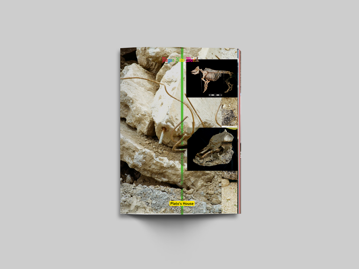 ISSUE E - VAGUE NEW WORLD - PDF