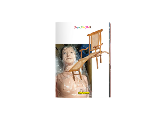 ISSUE B - VAGUE NEW WORLD - PDF