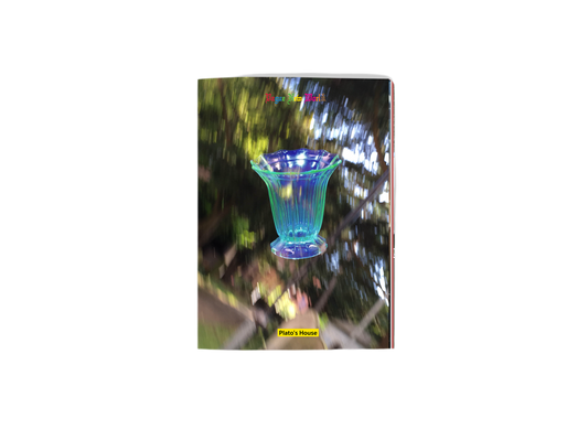 ISSUE D - VAGUE NEW WORLD - PDF
