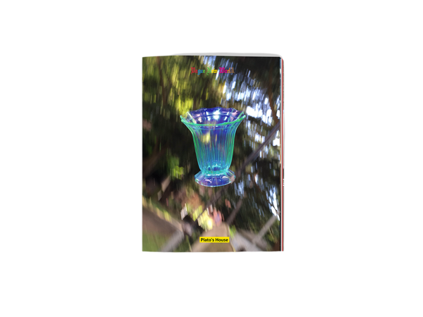 ISSUE D - VAGUE NEW WORLD - PDF