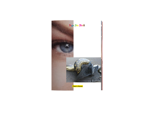 ISSUE F - VAGUE NEW WORLD - PDF