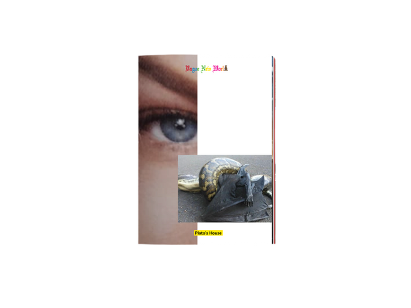 ISSUE F - VAGUE NEW WORLD - PDF