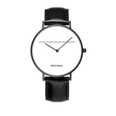 Two Clocks, Two Ghosts, One Square Acre of Hidden Mirror Watch