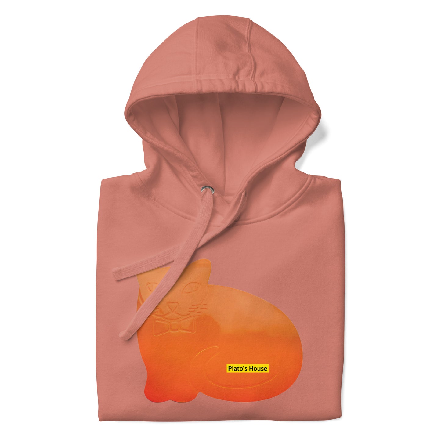 ORANGE CAT HOODIE