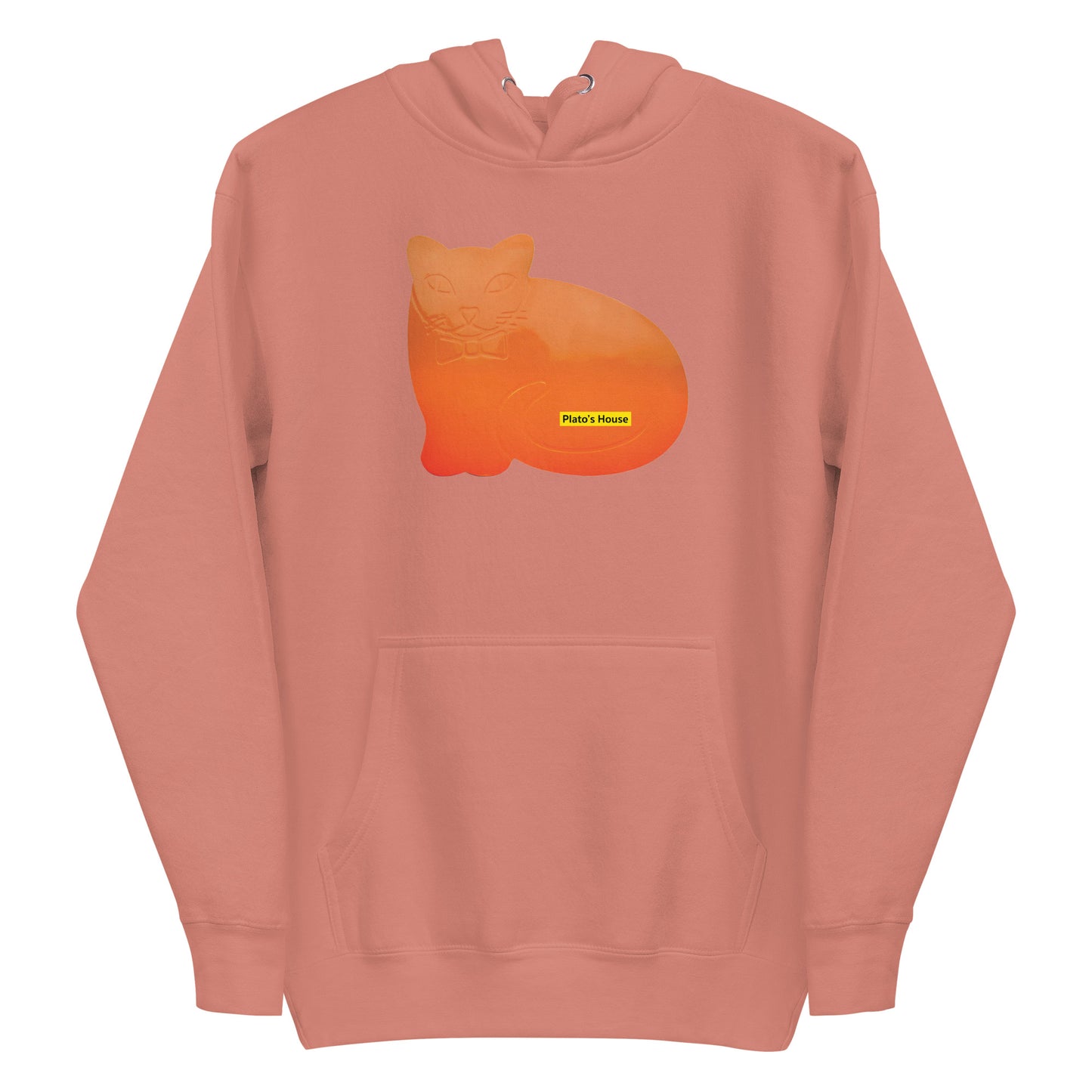 ORANGE CAT HOODIE