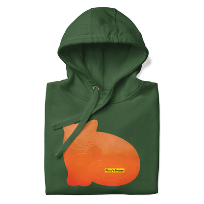 ORANGE CAT HOODIE