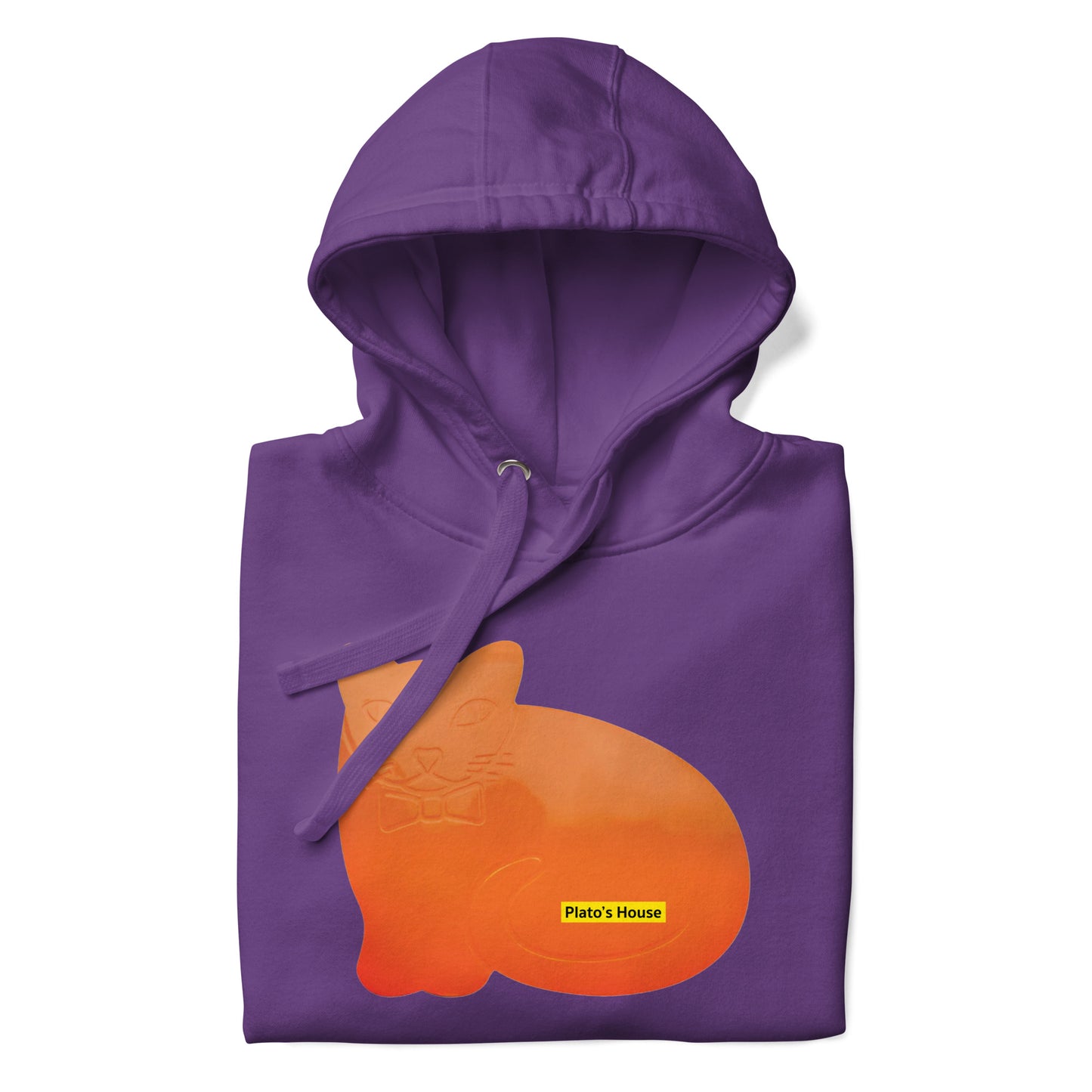 ORANGE CAT HOODIE