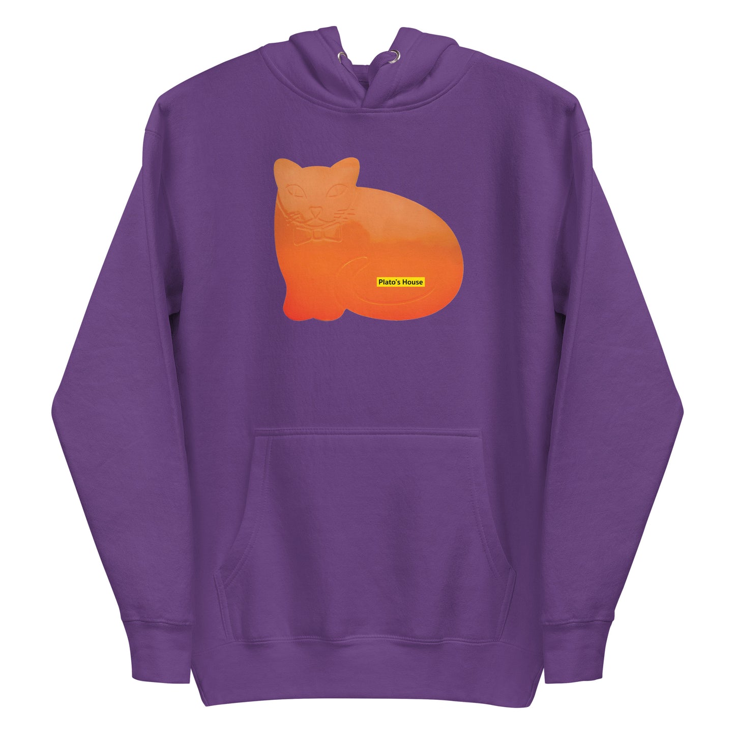 ORANGE CAT HOODIE