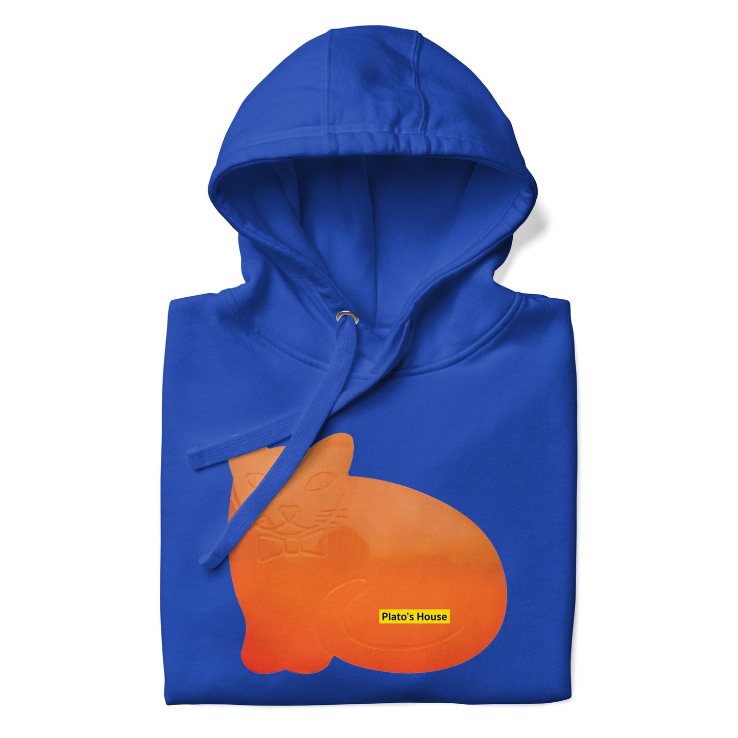 ORANGE CAT HOODIE